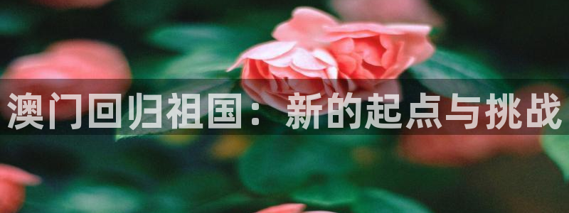 安信122平台：澳门回归祖国：新的起点与挑战